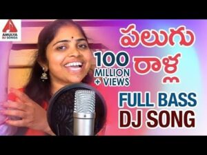 Palugu Ralla Padula Dibba DJ Song