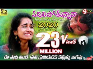 Vadhilipothunnava Nannu Ontari Love Failure Song