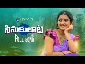 Sinukulata Latest New private song download Naa songs
