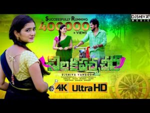 Chilaka Pacha Cheera Katti private song